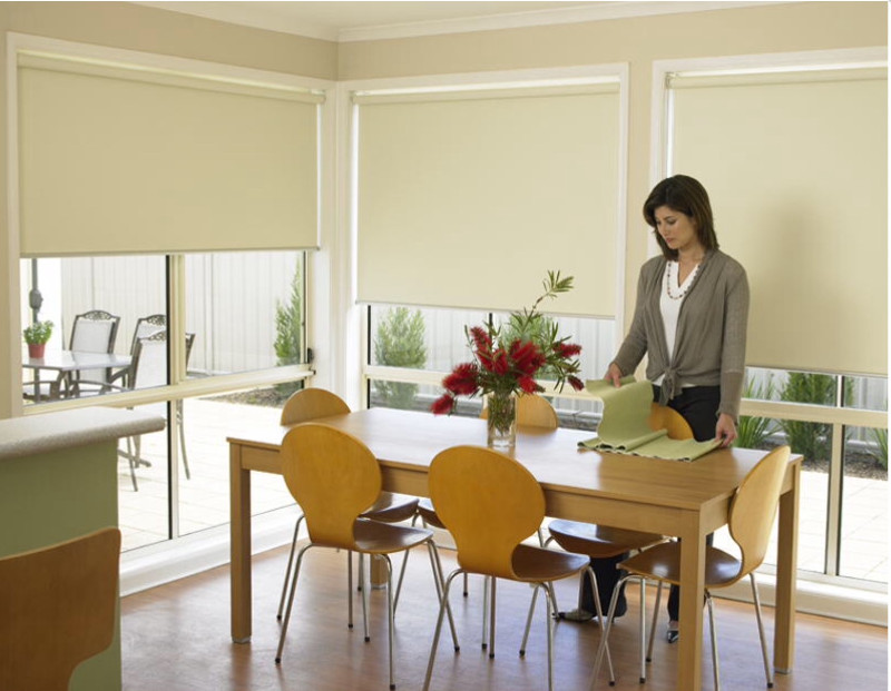 Inspirational Roller Blinds